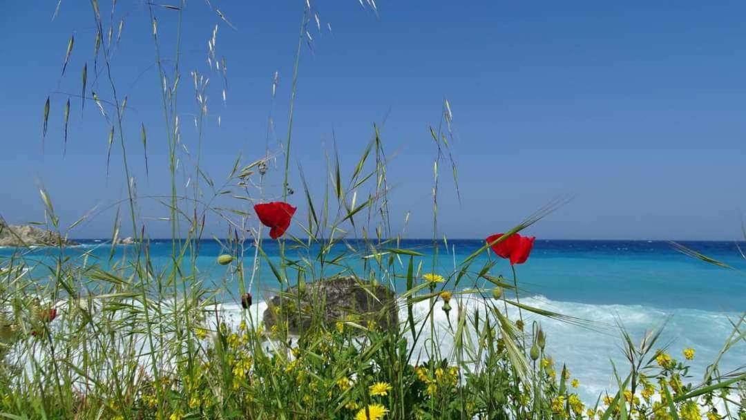 Villas Goudis Tsoukaládhes 외부 사진